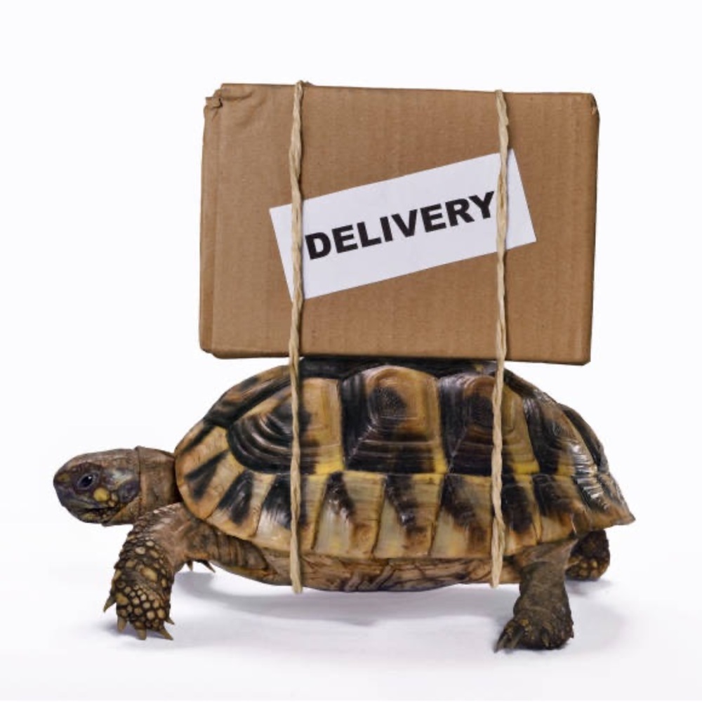 Shipping Tuesdays and Fridays